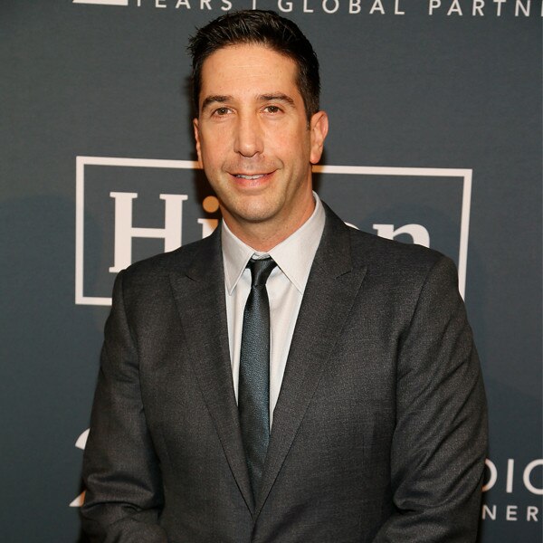 david swimmer gay David swimmer gay